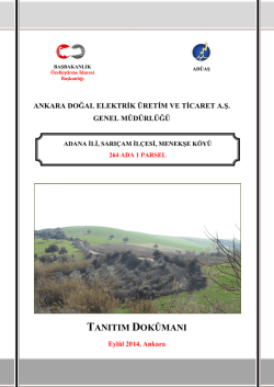 1 - Ankara Doğal Elektrik Üretim ve Ticaret A.Ş.
