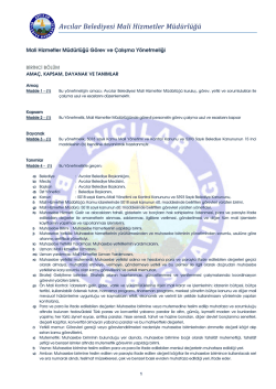 Mali Hizmetler M&uuml;d&uuml;rl&uuml;ğ&uuml; &Ccedil;alışma Y&ouml;netmeliği