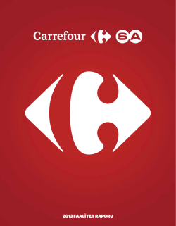 2013 faalıyet raporu