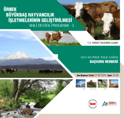 başvuru rehberi