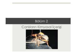 2. B&Ouml;L&Uuml;M.pptx - Prof. Dr. Bektaş TEPE