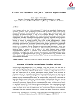 Kentsel &Ccedil;evre Kapsamında Yeşil &Ccedil;atı Ve Cephelerin