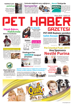 pet haber gazetesi - Molly Kedi Maması