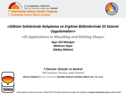 D&ouml;k&uuml;m Sekt&ouml;r&uuml;nde Kalıplama ve Ergitme