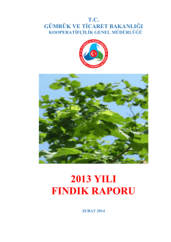 2013 Fındık Raporu - G&uuml;mr&uuml;k ve Ticaret Bakanlığı Kooperatif&ccedil;ilik