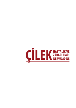&Ccedil;ilek - TC Gıda Tarım ve Hayvancılık Bakanlığı