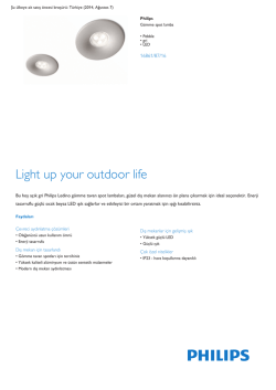 Product Leaflet: Pebble gri LED G&ouml;mme spot lamba
