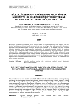 PAJES - Pamukkale University Journal of