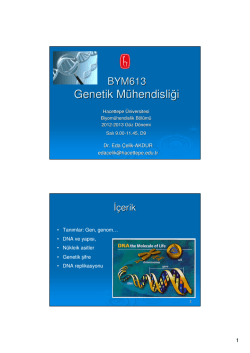 Genetik M&uuml;hendisliği - Hacettepe &Uuml;niversitesi
