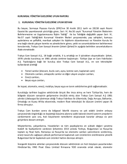 2013 yılı Kurumsal Y&ouml;netim İlkelerine Uyum Raporu