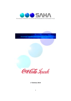 Derecelendirme Raporu