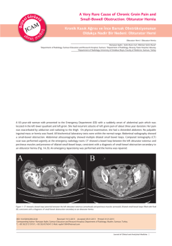 A Very Rare Cause of Chronic Groin Pain and Small