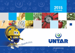 Untitled - Bah&ccedil;e P&uuml;lverizat&ouml;r&uuml;