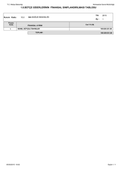 1.8.b&uuml;t&ccedil;e giderlerinin finansal sınıflandırılması tablosu