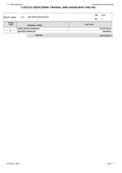 1.8.b&uuml;t&ccedil;e giderlerinin finansal sınıflandırılması tablosu