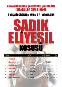 3 yaşlı ingilizler / kv 9 / s / 1900 m.&ccedil;im adana kumunun