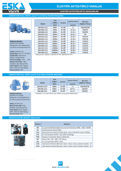 3 - Eska Valve
