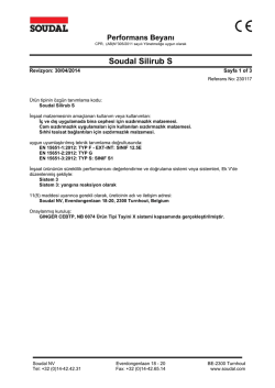 Soudal Silirub S