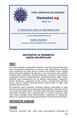 2015 yılı onaylananlar