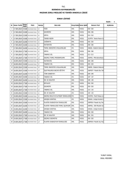 siteye sprint.indd