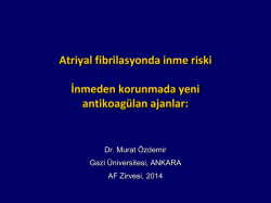 Murat &Ouml;zdemir - 4. atriyal fibrilasyon zirvesi 2015
