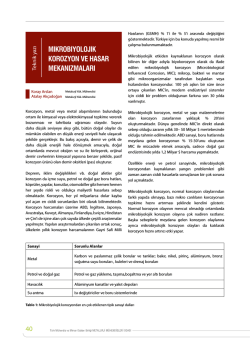 mikrobiyolojik korozyon ve hasar mekanizmaları