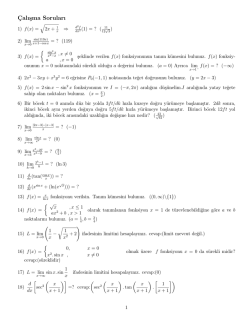 C&cedil;alısma Soruları