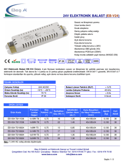 24V ELEKTRONİK BALAST (EB-V24)