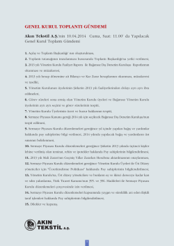 akın tekstil 2013 faaliyet raporu