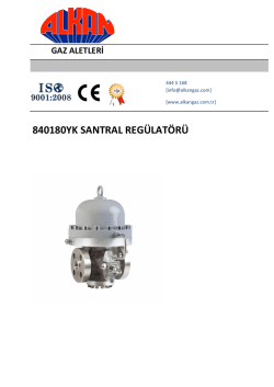840180YK SANTRAL REG&Uuml;LAT&Ouml;R&Uuml;
