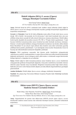 PD&ndash;071 Dioktil Adipatın (DOA) S. aurata (&Ccedil;ipura) Solunga&ccedil;