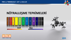 N&Ouml;TRALLEŞME TEPKİMELERİ