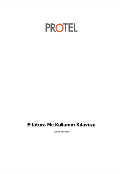 E-fatura Mc Kullanım Kılavuzu
