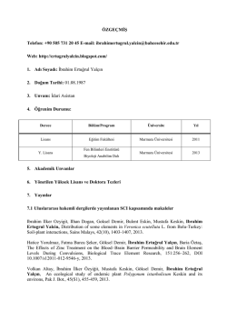 Lisans Programı A&ccedil;ma &Ouml;l&ccedil;&uuml;tleri - EK 4