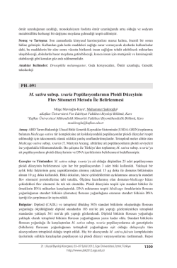 PH&ndash;091 M. sativa subsp. xvaria Pop&uuml;lasyonlarının Ploidi D&uuml;zeyinin