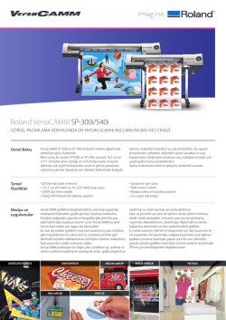 Roland VersaCAMM SP-300i/540i