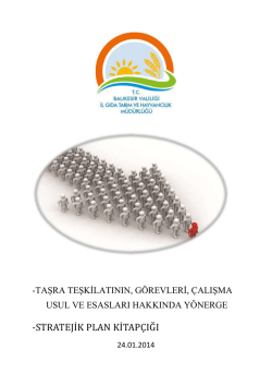 -STRATEJİ K PLAN Kİ TAP&Ccedil;İĞ İ