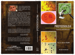 PR O TOZO OLOJİ - Prof. Dr. Bayram G&Ouml;&Ccedil;MEN