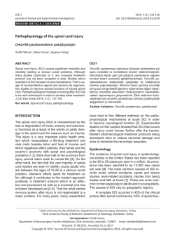 Pathophysiology of the spinal cord injury