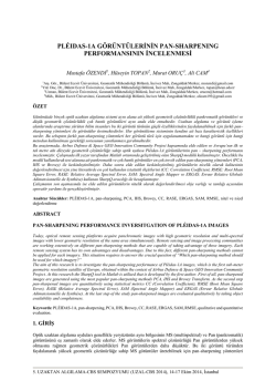 Pl&eacute;iades-1A G&ouml;r&uuml;nt&uuml;lerinin Pan