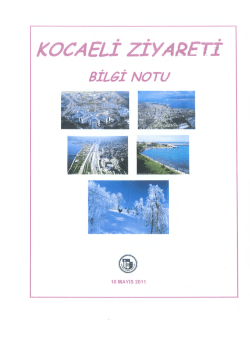 KOCAELİ Zİ~