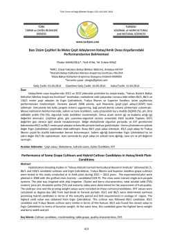 (PDF)... - DergiPark