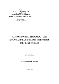 ŞERMİN MERİÇ YAPAR - Açık Erişim Sistemi