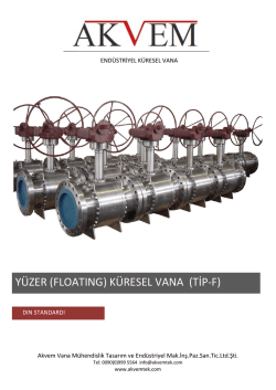Y&uuml;zer K&uuml;resel Vana DIN Standardı