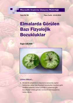Elmalarda G&ouml;r&uuml;len Bazı Fizyolojik Bozukluklar