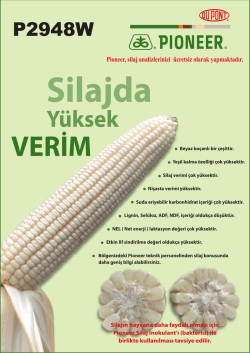 Y&uuml;ksek - Pioneer