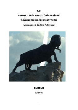 Lisansüstü Eğitim Kılavuzu - Sağlık Bilimleri Enstitüsü