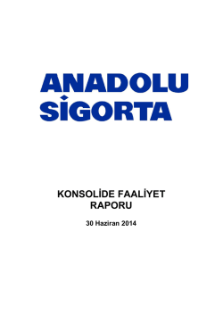 Konsolide Faaliyet Raporu 2014/6