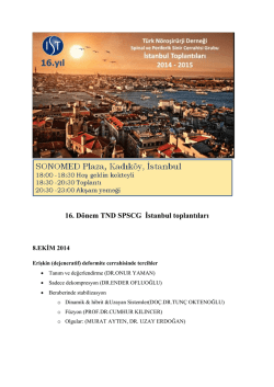 16. D&ouml;nem TND SPSCG İstanbul toplantıları
