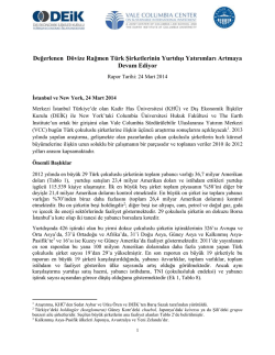 &Ccedil;ok Uluslu Şirketler Araştırma Raporu